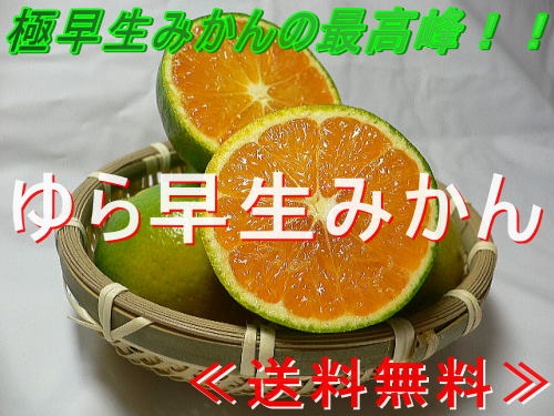��瑁��