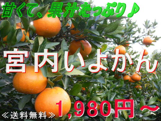 �ɗ\���i���悩��j