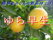 ��瑁��