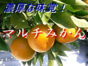 �}���`�݂���