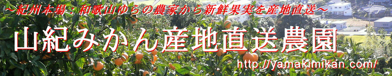 �a�̎R�݂���