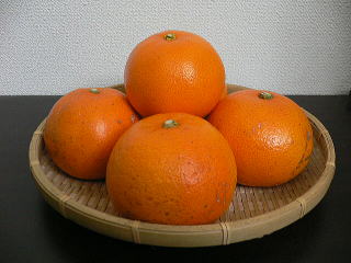 ���i�C���[�W