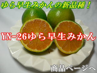 ���i�摜