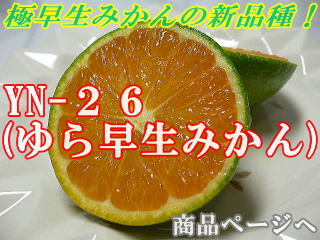 i摜