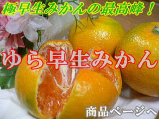 i摜