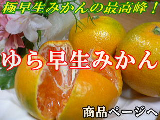 i摜