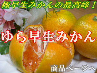 ���i�摜