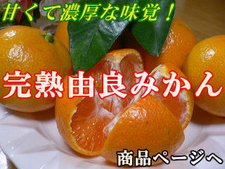 i摜