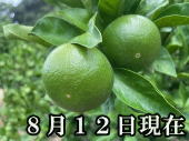 i摜