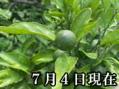 i摜