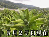 i摜