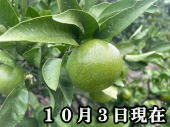 i摜