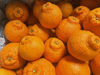 ���i�C���[�W